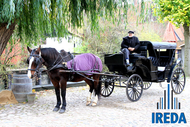 Rampe Componibili Disabili Viaggio In Danimarca 06